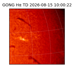 gong - 2026-08-15T10:00:22