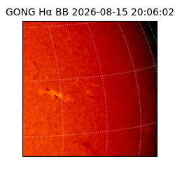 gong - 2026-08-15T20:06:02