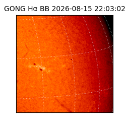 gong - 2026-08-15T22:03:02