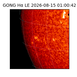 gong - 2026-08-15T01:00:42