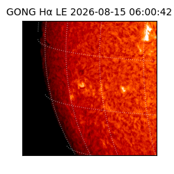 gong - 2026-08-15T06:00:42