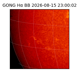 gong - 2026-08-15T23:00:02