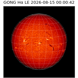 gong - 2026-08-15T00:00:42