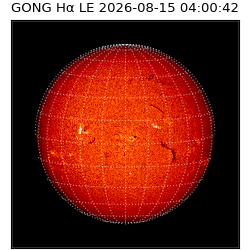 gong - 2026-08-15T04:00:42