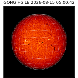 gong - 2026-08-15T05:00:42