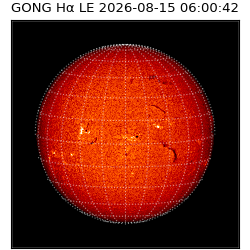 gong - 2026-08-15T06:00:42