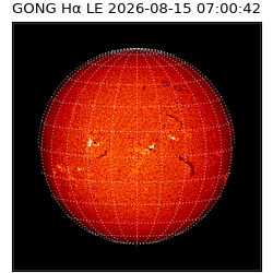 gong - 2026-08-15T07:00:42