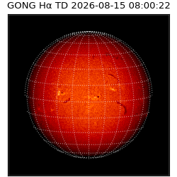gong - 2026-08-15T08:00:22
