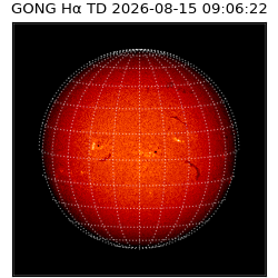 gong - 2026-08-15T09:06:22
