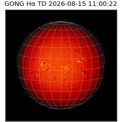 gong - 2026-08-15T11:00:22