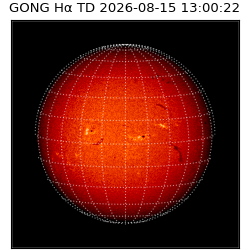 gong - 2026-08-15T13:00:22