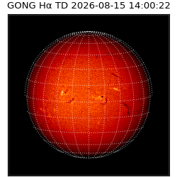 gong - 2026-08-15T14:00:22