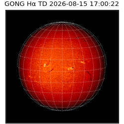 gong - 2026-08-15T17:00:22