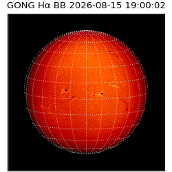 gong - 2026-08-15T19:00:02