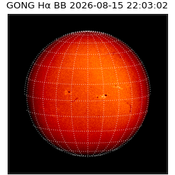 gong - 2026-08-15T22:03:02