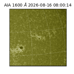 saia - 2026-08-16T08:00:14.124000