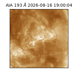 saia - 2026-08-16T19:00:04.842000
