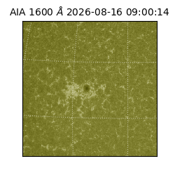 saia - 2026-08-16T09:00:14.124000