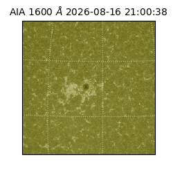 saia - 2026-08-16T21:00:38.123000