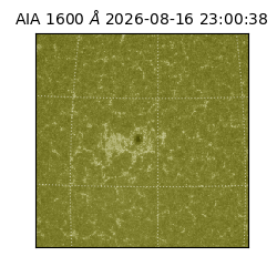 saia - 2026-08-16T23:00:38.123000