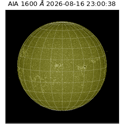 saia - 2026-08-16T23:00:38.123000