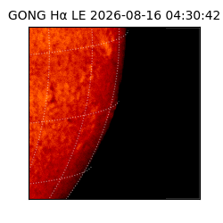 gong - 2026-08-16T04:30:42