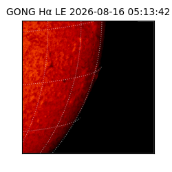 gong - 2026-08-16T05:13:42