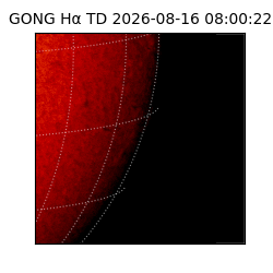 gong - 2026-08-16T08:00:22