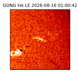 gong - 2026-08-16T01:00:42