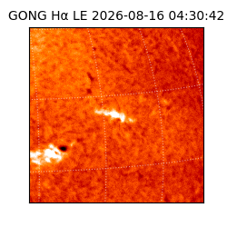 gong - 2026-08-16T04:30:42