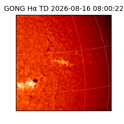 gong - 2026-08-16T08:00:22