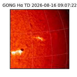 gong - 2026-08-16T09:07:22
