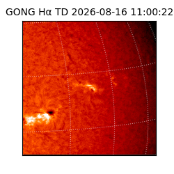 gong - 2026-08-16T11:00:22