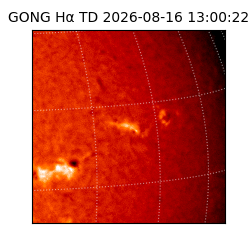 gong - 2026-08-16T13:00:22