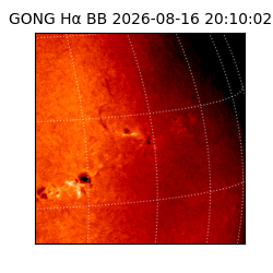 gong - 2026-08-16T20:10:02