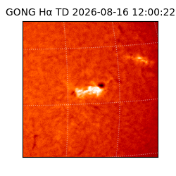 gong - 2026-08-16T12:00:22