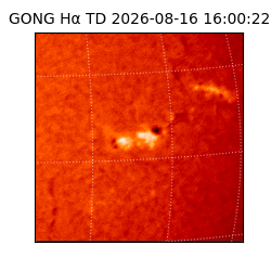 gong - 2026-08-16T16:00:22