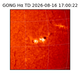 gong - 2026-08-16T17:00:22