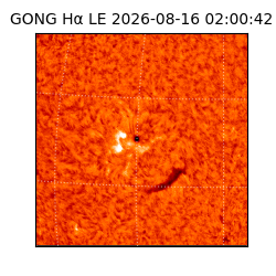 gong - 2026-08-16T02:00:42
