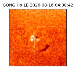 gong - 2026-08-16T04:30:42