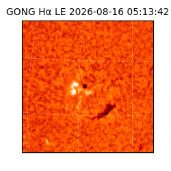 gong - 2026-08-16T05:13:42
