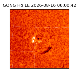 gong - 2026-08-16T06:00:42
