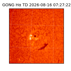 gong - 2026-08-16T07:27:22