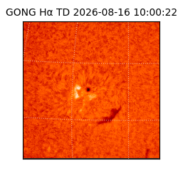 gong - 2026-08-16T10:00:22