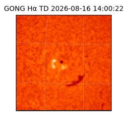 gong - 2026-08-16T14:00:22