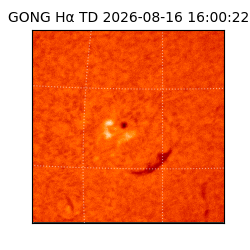 gong - 2026-08-16T16:00:22