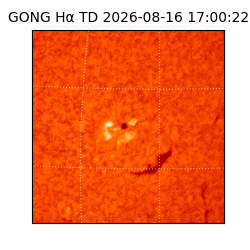 gong - 2026-08-16T17:00:22