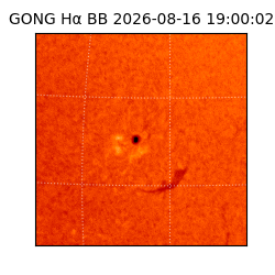 gong - 2026-08-16T19:00:02
