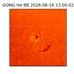 gong - 2026-08-16T23:00:02