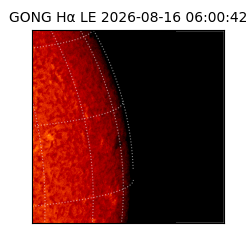 gong - 2026-08-16T06:00:42